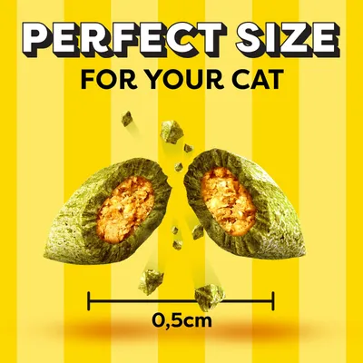 Dreamies Cat Treat Biscuits Mega Tub - Saver Pack: Catnip (2 x 350g) Dreamies Cat Treat Biscuits Mega Tub - Saver Pack: Catnip (2 x 350g)