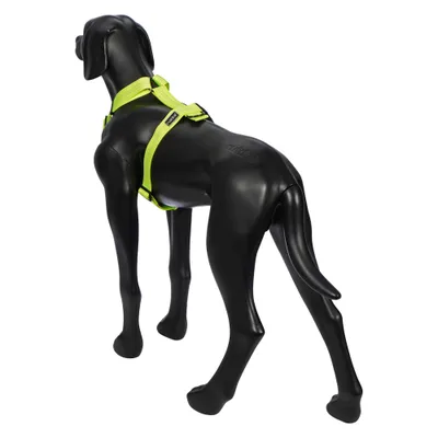 Schwarze Hundemodellfigur trägt ein neon-gelbes Geschirr mit sichtbarem rukka-Label. Schwarze Hundemodellfigur trägt ein neon-gelbes Geschirr mit sichtbarem rukka-Label.