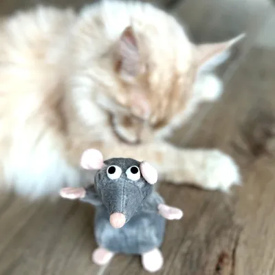 Jouet en forme de souris grise en tissu avec oreilles et pattes roses, posé devant un chat à poils longs beige allongé sur le sol en bois.