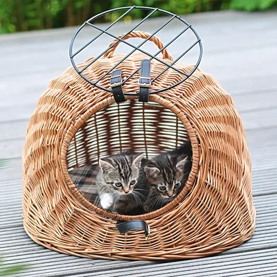 Panier de transport en osier avec grille métallique ouverte, deux chatons tigrés visibles à l’intérieur. Poignée et fermeture en cuir noir sur le dessus.