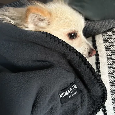Schwarzer Stoff mit Labelaufdruck 'Nomad Tails München'.