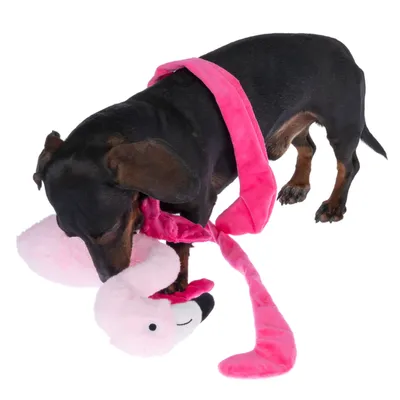 Pies bawi się różową pluszową zabawką w kształcie flaminga, odpowiednią do interaktywnej zabawy.