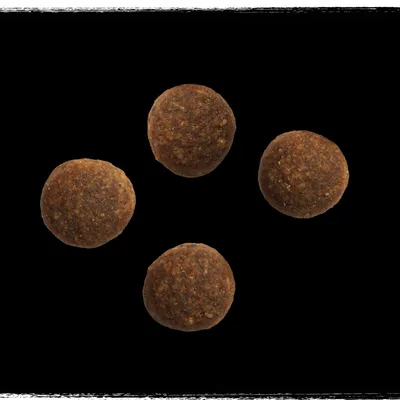 Four round brown kibble pieces shown against a black background to display product shape and size.