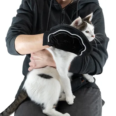 Person uses a black grooming glove brush to remove loose hair from a white cat with black spots.