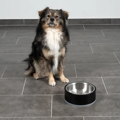 Hund sitzt neben einem schwarzen Futternapf aus Edelstahl auf grauem Fliesenboden.