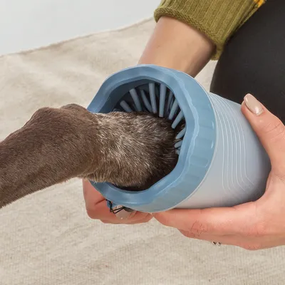 Patte de chien insérée dans un gobelet nettoyant en plastique bleu avec brosses souples, tenue par une personne. Aucun texte ou marque visible.