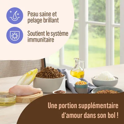 Peau saine et pelage brillant. Soutient le système immunitaire. Une portion supplémentaire d’amour dans son bol ! Ingrédients visibles : croquettes, poulet cru, huile, riz, endive, graines.