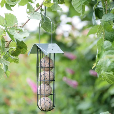 Kovový krmítko pro volně žijící ptáky, naplněné čtyřmi lojovými koulemi, zavěšené na větvi v zelené zahradě.