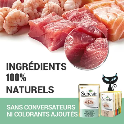 Ingrédients 100 % naturels. Sans conservateurs ni colorants ajoutés. Schesir. Sachets de nourriture pour chats visibles en bas à droite.