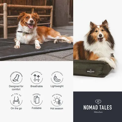Tumbona portátil Nomad Tales para el sol Tumbona portátil Nomad Tales para el sol