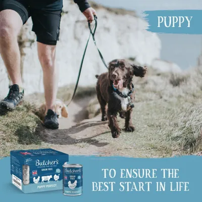Butcher's Grain Free Puppy Perfect 6 x 400g - Mixed Pack Butcher's Grain Free Puppy Perfect 6 x 400g - Mixed Pack