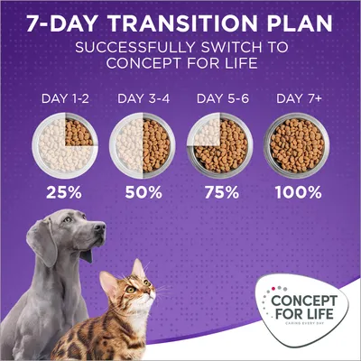 7-day transition plan: gradually increase Concept for Life food from 25% on days 1-2, 50% on days 3-4, 75% on days 5-6, to 100% from day 7 onwards.