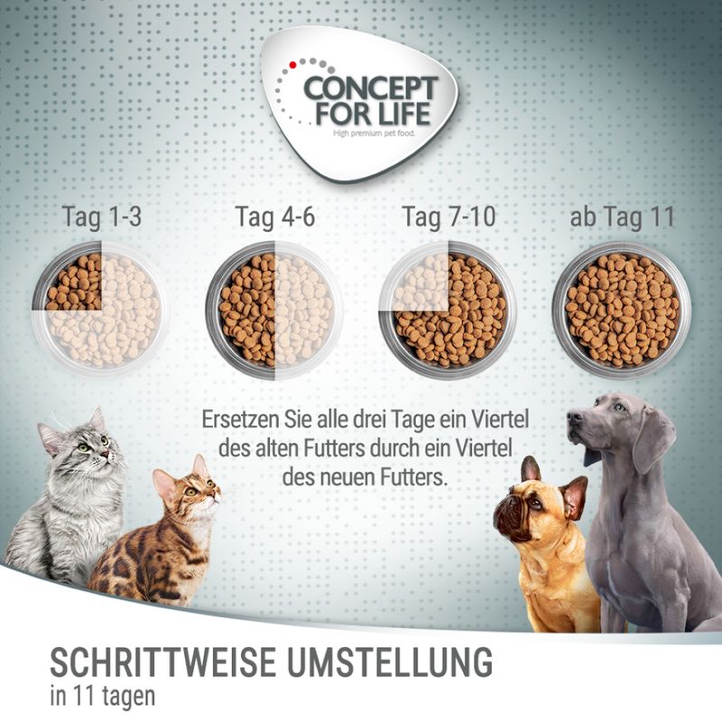 Schéma de transition alimentaire sur 11 jours pour chats et chiens, texte en allemand, logo Concept for Life, bols montrant la proportion croissante du nouvel aliment à chaque étape.