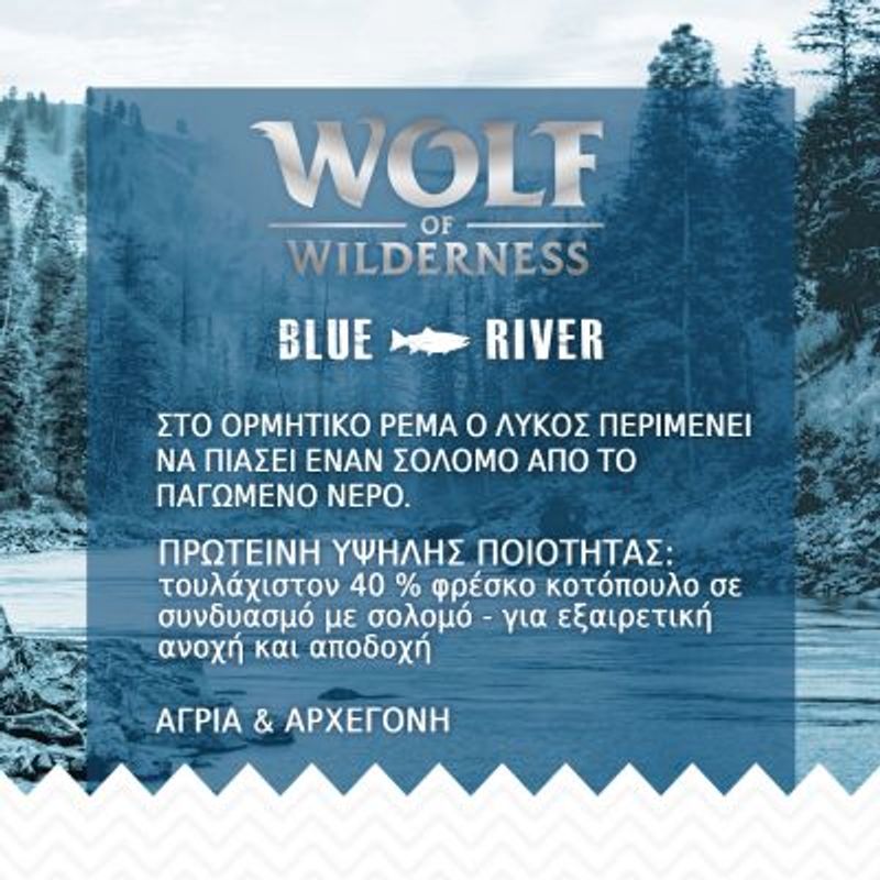 Wolf of Wilderness Junior "Blue River" Κοτόπουλο Ελευθέρας Βοσκής & Σολομός