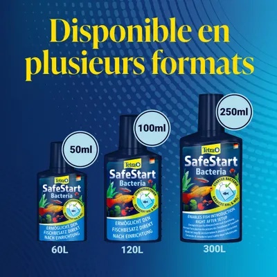 Tetra SafeStart Bactéries en trois tailles : 50 ml pour 60 L, 100 ml pour 120 L, 250 ml pour 300 L. Permet l’introduction immédiate des poissons après l’installation. Tetra SafeStart Bactéries en trois tailles : 50 ml pour 60 L, 100 ml pour 120 L, 250 ml pour 300 L. Permet l’introduction immédiate des poissons après l’installation.