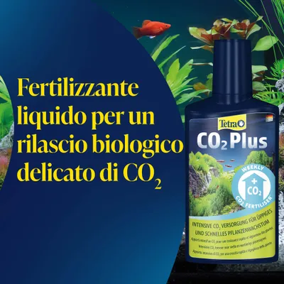 Tetra CO2 Plus fertilizzante liquido per acquari, fornitura intensiva di CO2 per una crescita rigogliosa e rapida delle piante. Fertilizzante settimanale a base di CO2. Tetra CO2 Plus fertilizzante liquido per acquari, fornitura intensiva di CO2 per una crescita rigogliosa e rapida delle piante. Fertilizzante settimanale a base di CO2.