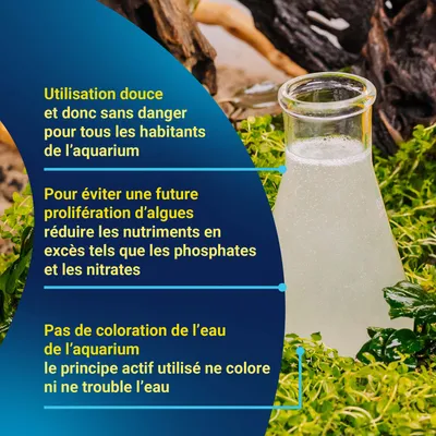 Application douce, sans danger pour les habitants de l’aquarium. Pour éviter la formation d’algues, réduire les nutriments tels que les phosphates et les nitrates. Aucune coloration ni trouble de l’eau de l’aquarium. Application douce, sans danger pour les habitants de l’aquarium. Pour éviter la formation d’algues, réduire les nutriments tels que les phosphates et les nitrates. Aucune coloration ni trouble de l’eau de l’aquarium.