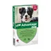 Advantage® 250 pour chien de 10 à 25 kg