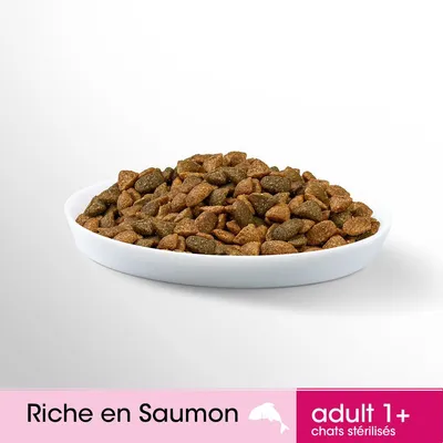 Croquettes dans une assiette blanche, texte visible : Riche en Saumon, adult 1+ chats stérilisés
