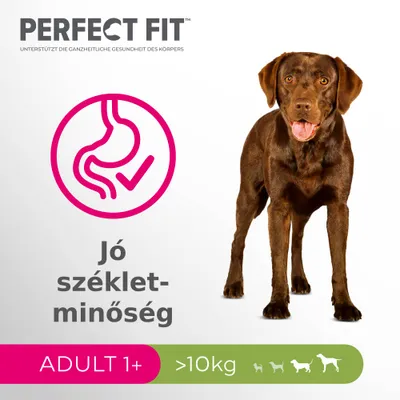 PERFECT FIT, Jó székletminőség, ADULT 1+, >10 kg. Barna kutya, gyomor ikon pipával. Német nyelvű kiegészítő szöveg: UNTERSTÜTZT DIE GANZHEITLICHE GESUNDHEIT DES KÖRPERS.