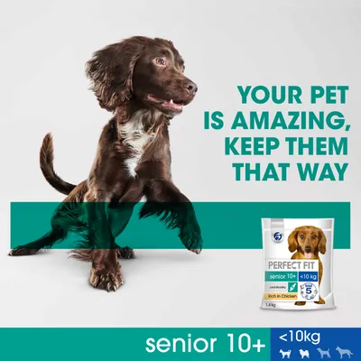 PERFECT FIT senior 10+ <10 kg, Rich in Chicken, confezione da 1,4 kg per cani anziani, visibile anche la scritta 'YOUR PET IS AMAZING, KEEP THEM THAT WAY' in inglese.