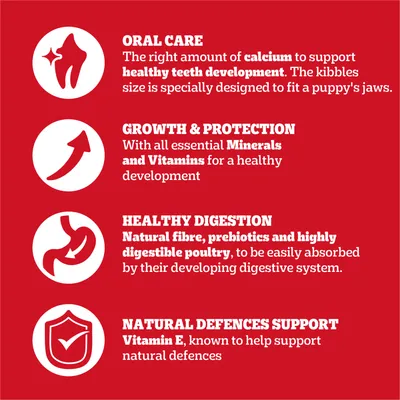 Oral care with calcium for healthy teeth, growth and protection with minerals and vitamins, healthy digestion with fibre, prebiotics and poultry, natural defences support with vitamin E.