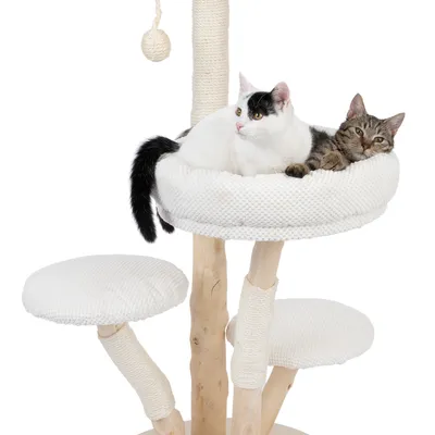 Kratzbaum aus Holz mit drei Ebenen, weiss gepolsterten Liegeflächen und Spielball. Zwei Katzen liegen auf der oberen Plattform.