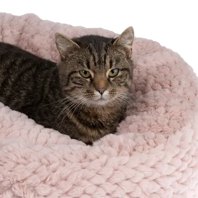 Chat tigré allongé dans un panier rond en tissu rose à maille épaisse, texture duveteuse bien visible.