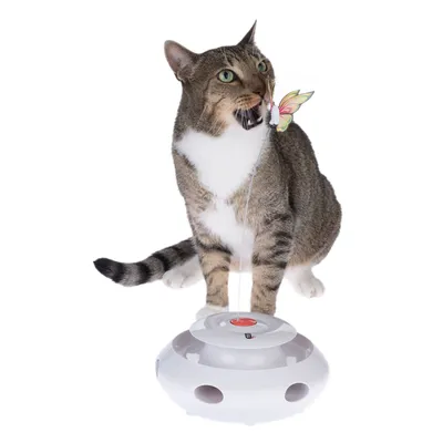 Spielzeug für Katzen mit interaktivem Schmetterling, befestigt an einer weissen Basis mit mehreren Öffnungen.