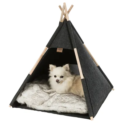 Trixie tenda tipi in tessuto grigio con pali in legno, interno con cuscino in pelliccia morbida. Cane piccolo seduto nella tenda.
