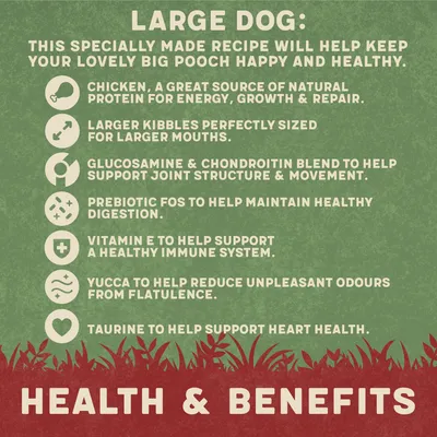 Large dog recipe benefits: chicken for protein, larger kibbles, glucosamine and chondroitin for joints, prebiotic FOS, vitamin E, yucca for odours, taurine for heart health.