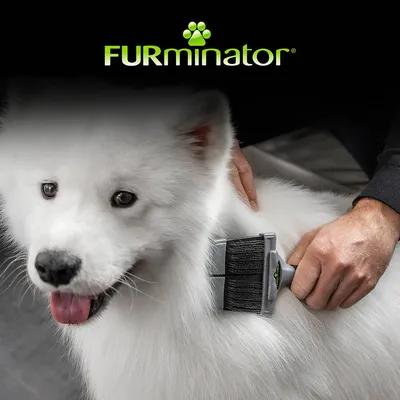 Brosse FURminator Slicker pour chien et chat Brosse FURminator Slicker pour chien et chat