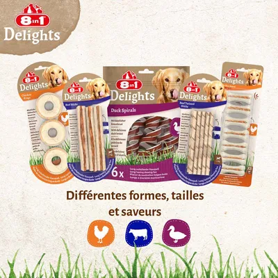 5 paquets de friandises à mâcher 8in1 Delights sous différentes formes et saveurs : anneaux au poulet, bâtonnets au bœuf, spirales au canard, bâtonnets torsadés au bœuf. Texte : Différentes formes, tailles et saveurs. 5 paquets de friandises à mâcher 8in1 Delights sous différentes formes et saveurs : anneaux au poulet, bâtonnets au bœuf, spirales au canard, bâtonnets torsadés au bœuf. Texte : Différentes formes, tailles et saveurs.