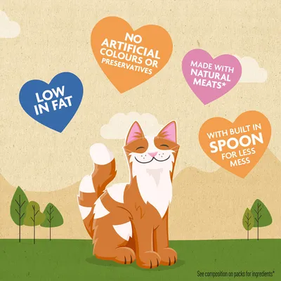 LOW IN FAT, NO ARTIFICIAL COLOURS OR PRESERVATIVES, MADE WITH NATURAL MEATS*, WITH BUILT IN SPOON FOR LESS MESS feliratok angol nyelven színes szívekben.