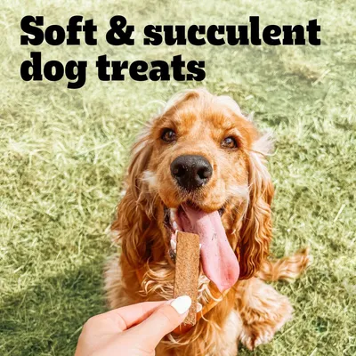 Text reads: Soft & succulent dog treats. A hand holds a treat in front of a happy dog outdoors, demonstrating the product's texture and appeal.