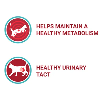 HELPS MAINTAIN A HEALTHY METABOLISM, HEALTHY URINARY TRACT. Tekst på engelsk med katteikoner.