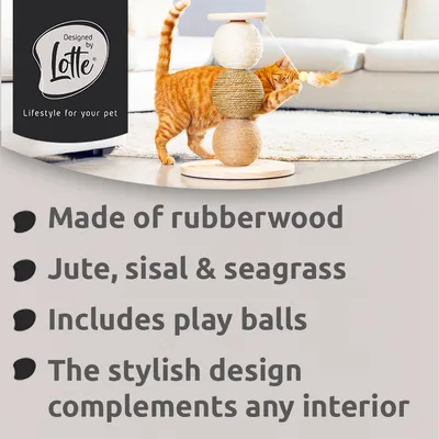 Designed by Lotte Elio -raapimispallo kissoille