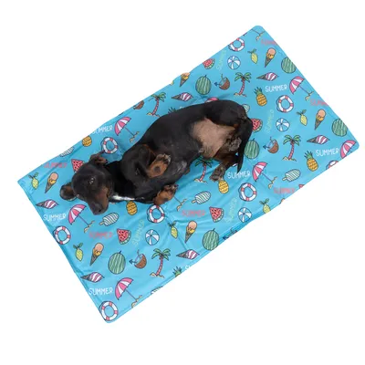 Dog lying on a blue mat with summer motifs such as ice cream, palm trees and watermelons. Mat features the inscription 'SUMMER'.