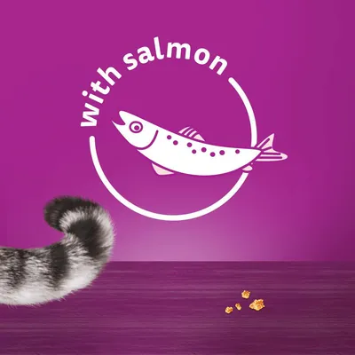 Product contains salmon, as shown by the text 'with salmon' and a fish graphic on a purple background with a striped tail and food pieces visible.