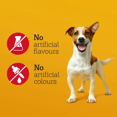 No artificial flavours and no artificial colours, shown with icons indicating absence of additives next to a dog on a yellow background.