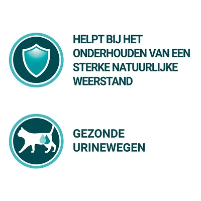 Helpt bij het onderhouden van een sterke natuurlijke weerstand. Gezonde urinewegen.