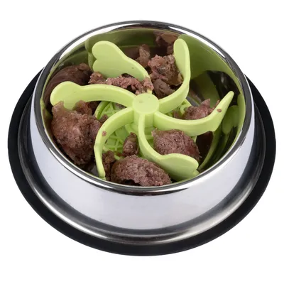 Stainless steel food bowl with green anti-gulp insert, filled with wet food.