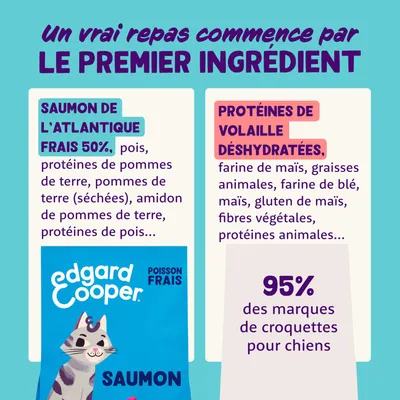 Edgard Cooper croquettes avec saumon de l’Atlantique frais 50 %, pois, protéine de pomme de terre. Alternative : protéines de volaille, farine de maïs, graisses animales. 95 % des marques utilisent des ingrédients déshydratés.