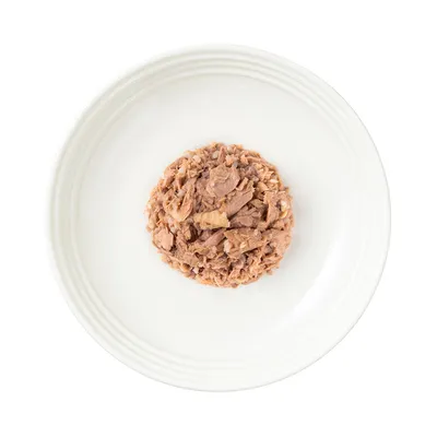 Portion de pâtée pour animaux présentée dans une assiette blanche, vue du dessus. Aucun emballage ni marque visible.