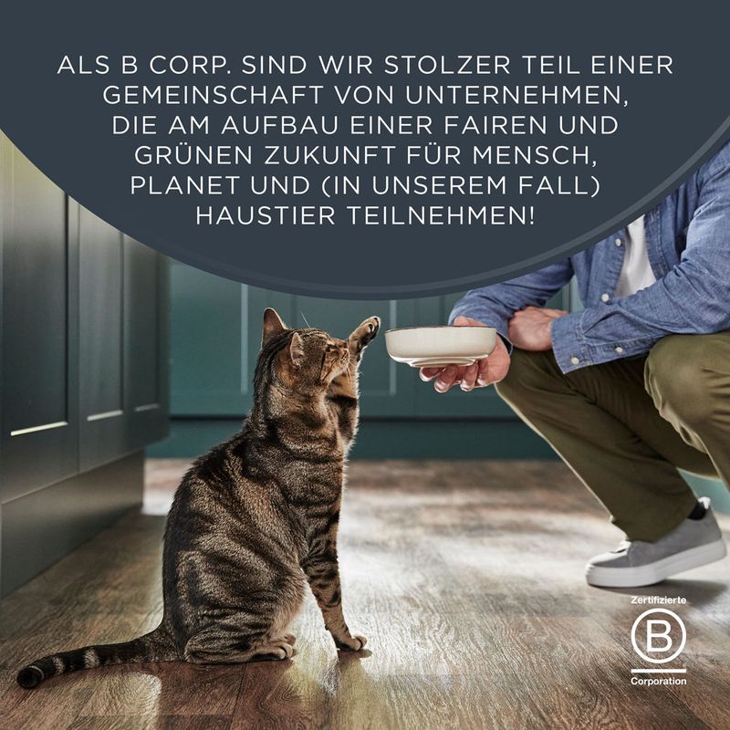 Encore Cat Huhn mit Lachs