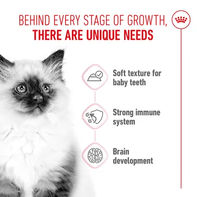 Behind every stage of growth, there are unique needs. Soft texture for baby teeth, strong immune system, brain development.