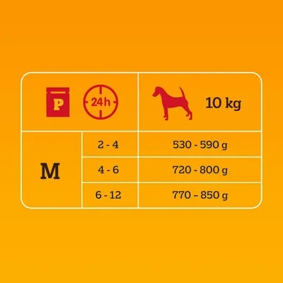 Tablica hranjenja za psa 10 kg: M, 2–4 mjeseca 530–590 g, 4–6 mjeseci 720–800 g, 6–12 mjeseci 770–850 g dnevno.