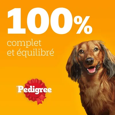 Texte : 100 % complet et équilibré. Marque Pedigree sur fond orange avec ruban rouge. Texte : 100 % complet et équilibré. Marque Pedigree sur fond orange avec ruban rouge.