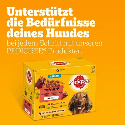 Pedigree Senior Gemischte Selektion in Gelee, 12x90g. Unterstützt die Bedürfnisse deines Hundes mit natürlichen Zutaten. Recyclingfähig, 100% komplett und ausgewogen.