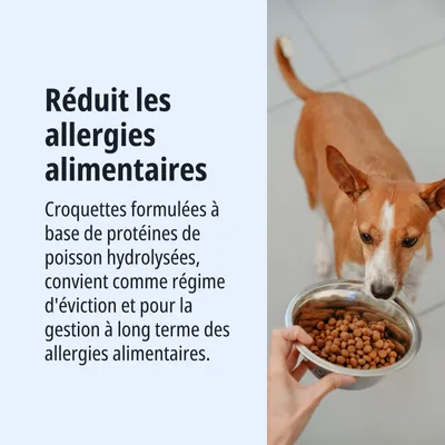 Réduit les allergies alimentaires. Croquettes à base de protéines de poisson hydrolysées, adaptées à un régime d'éviction et à la gestion à long terme des allergies alimentaires.